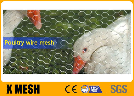 Cerca de alambre de acero inoxidable ácida de pollo de la resistencia 20Ga Poultry Netting